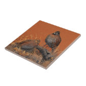 Carreau Cailles (la Géorgie, Missouri et Tennessee) (Côté)