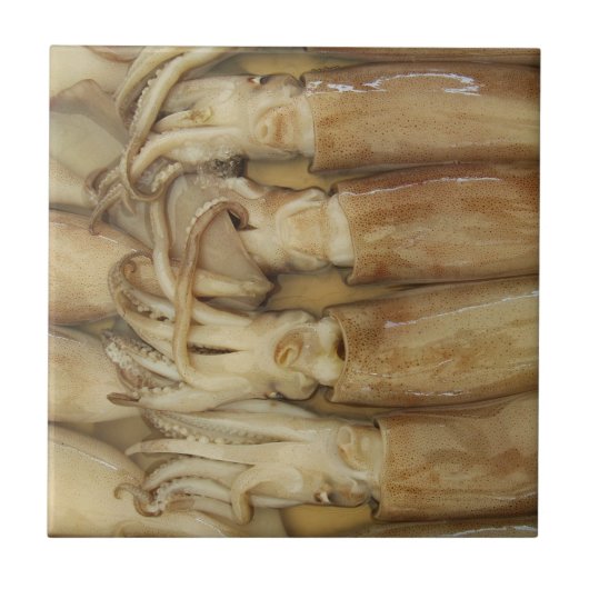 Carreau Calamari (Devant)