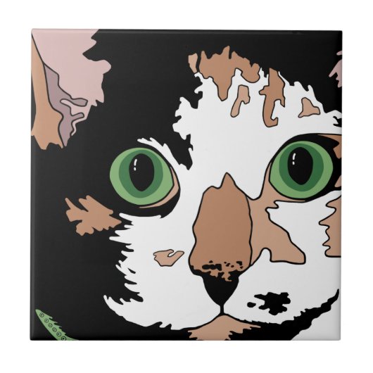 Carreau Calico Cat (Devant)