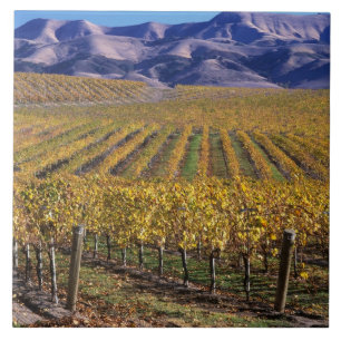 Carreau Californie, comté de San Luis Obispo, vallée d'Edn
