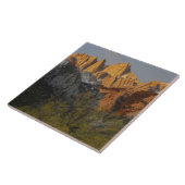 Carreau Californie, Mount Whitney, Inyo National Forest 3 (Côté)