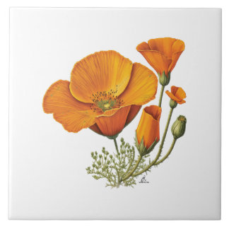 Carreau californie orange pavot floral céramique