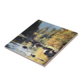 Carreau Californie, Sierra Nevada Mountains, Yosemite 7 (Côté)