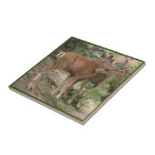 Carreau Câlins de cerfs (Côté)