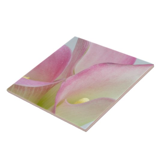 Carreau Calla Lilies rose (Côté)