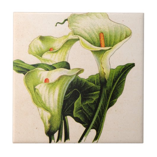 Carreau calla lily (Devant)