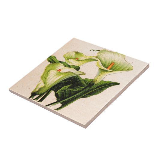 Carreau calla lily (Côté)