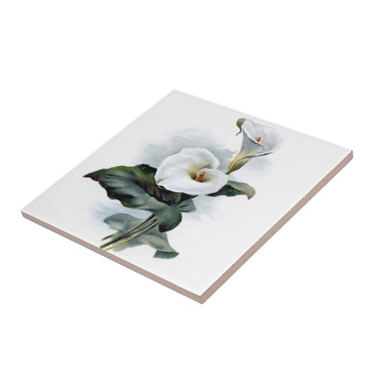 Carreau Calla Lily Design (Côté)