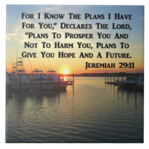 CARREAU CALME SUR LE LAC