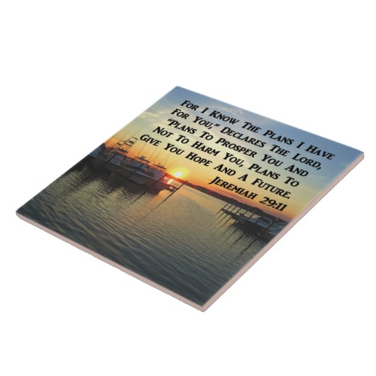 CARREAU CALME SUR LE LAC (Côté)