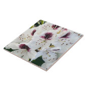 Carreau Calsap Rhododendrons (Côté)