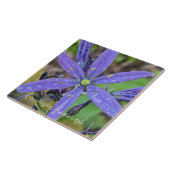 Carreau Camassia Commune Floral (Côté)