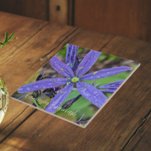 Carreau Camassia Commune Floral