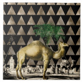 Carreau Camel de D'Orbigny (Devant)