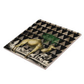 Carreau Camel de D'Orbigny (Côté)