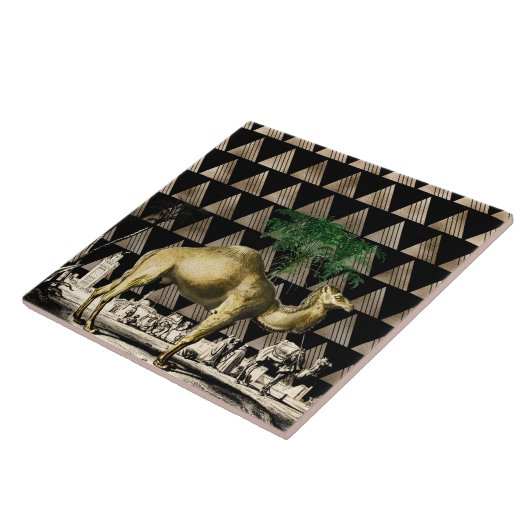 Carreau Camel de D'Orbigny (Côté)