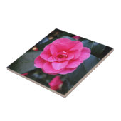 Carreau Camellia rose (Côté)