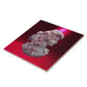 CARREAU CAMEO ANTIQUE, DAME AUX RAISONS (Côté)