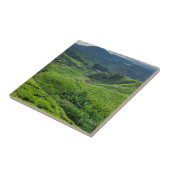 Carreau Cameron Highlands Tea Plantation (Côté)