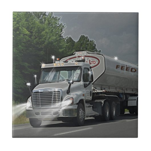 Carreau Camion gris de réservoir d'alimentation de bétail (Devant)