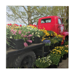Carreau Camion rouge avec fleurs de printemps et arc en ci