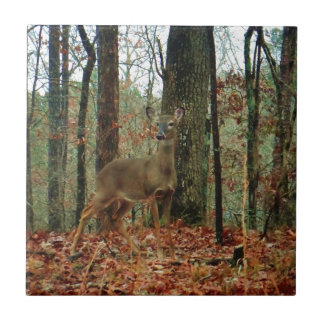 Carreau Camo, Cerf de Camouflage