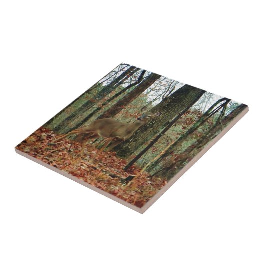 Carreau Camo, Cerf de Camouflage (Côté)