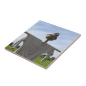 Carreau Campagne Jardin Scarecrow Nature (Côté)