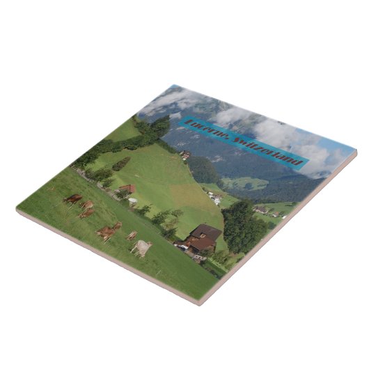 Carreau Campagne Suisse (Côté)