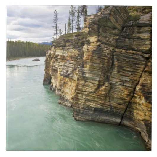 Carreau Canada, Alberta, parc national de Jasper, Athabasc (Devant)