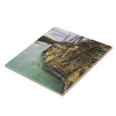 Carreau Canada, Alberta, parc national de Jasper, Athabasc (Côté)