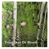 Carreau (Canada) Oie verte (Devant)