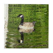 Carreau (Canada) Oie verte (Devant)