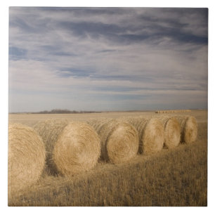 Carreau Canada, Saskatchewan, Craik : Roulements de foin /
