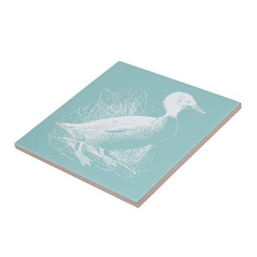 Carreau Canard (Côté)