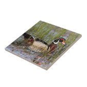 Carreau Canard à bois dans les zones humides (Côté)