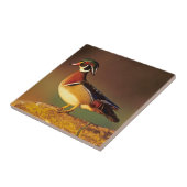 Carreau Canard à bois mâle, Illinois (Côté)