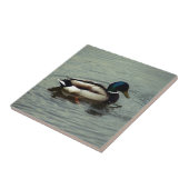 Carreau Canard à l'eau (Côté)