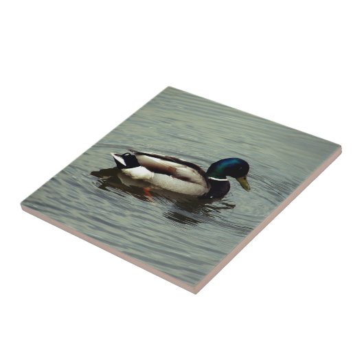 Carreau Canard à l'eau (Côté)