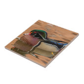 Carreau Canard branchu nageant dans l'eau (Côté)