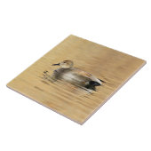 Carreau Canard colvert mâle (Côté)