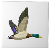 Carreau Canard de Mallard (Devant)