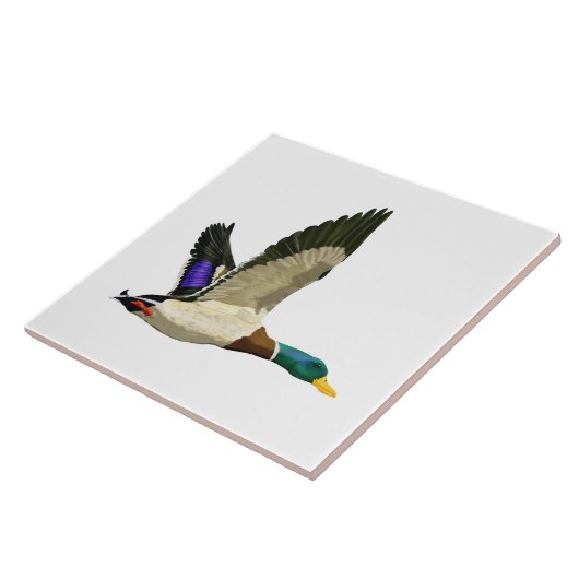 Carreau Canard de Mallard (Côté)