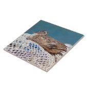 Carreau Canard de repos (Côté)