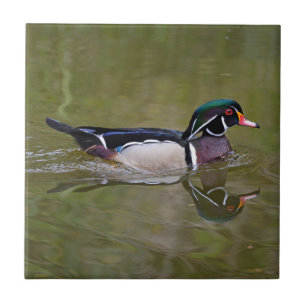 Carreau Canard en bois coloré