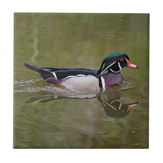 Carreau Canard en bois coloré (Devant)