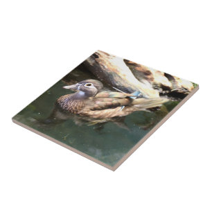 Carreau Canard en bois femelle