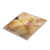 Carreau Canard Jaune Fuzzy Bébé de Pâques Canard (Côté)