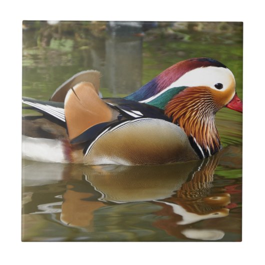 Carreau canard mandarin (Devant)