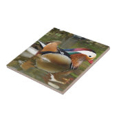Carreau canard mandarin (Côté)